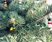 5 gode råd til en demensvenlig jul