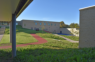 Park.jpg